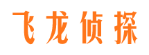 洮南市调查取证